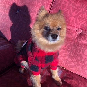 Meet your Posher, Mari Acevedo